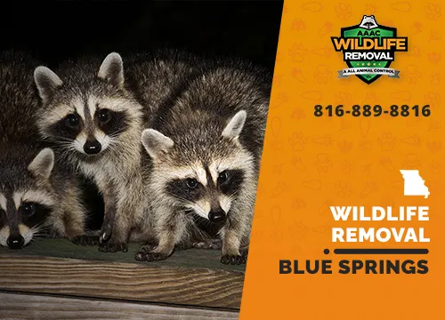 Blue Springs Wildlife Removal professional removing pest animal