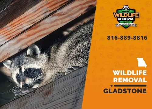Gladstone Wildlife Removal professional removing pest animal