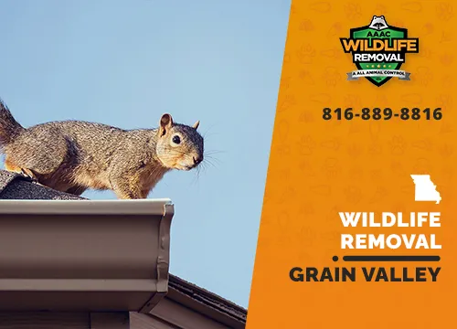 Grain Valley Wildlife Removal professional removing pest animal