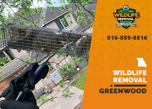 Greenwood Wildlife Removal professional removing pest animal
