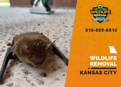 Kansas City Wildlife Removal professional removing pest animal