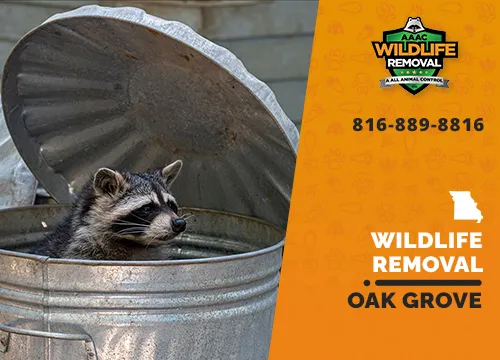 Oak Grove Wildlife Removal professional removing pest animal