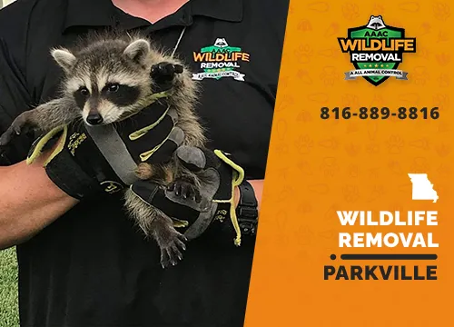 Parkville Wildlife Removal professional removing pest animal