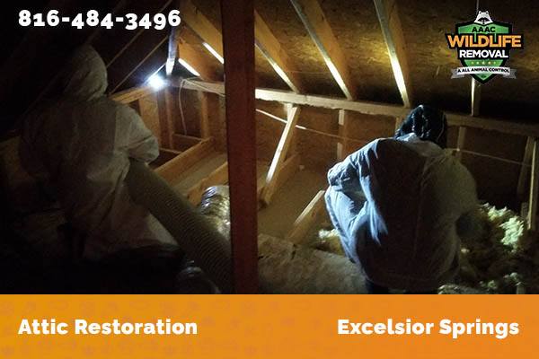 Attic Restoration Excelsior Springs