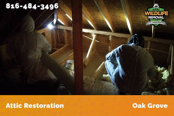 Attic Restoration Oak Grove