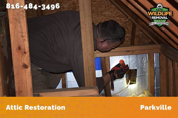 Attic Restoration Parkville