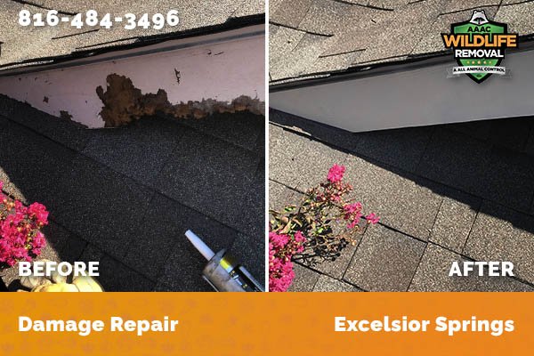 Damage Repair Excelsior Springs