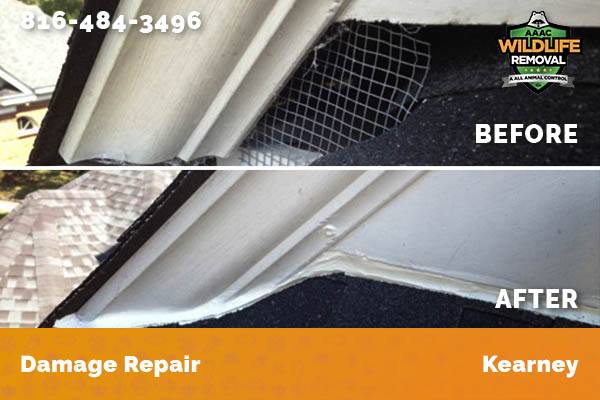 Damage Repair Kearney