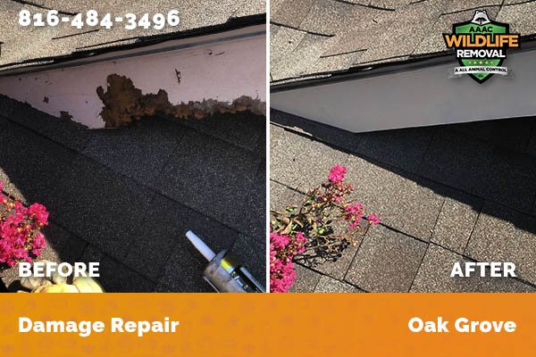 Damage Repair Oak Grove