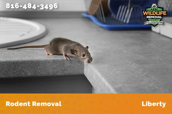 Rodent Removal Liberty