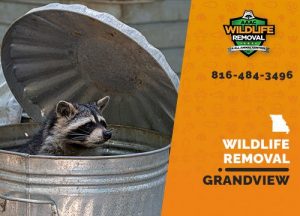 Grandview Wildlife Removal professional removing pest animal