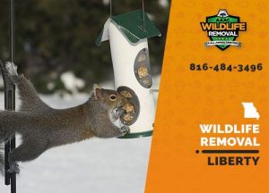 Liberty Wildlife Removal professional removing pest animal