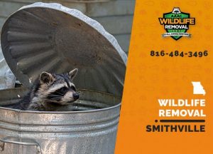 Smithville Wildlife Removal professional removing pest animal